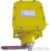 HFZL-K纵向撕裂开关,防撕裂保护开关/价格工程案例 HFZL-K纵向撕裂开关,防撕裂保护开关/价格工程案例